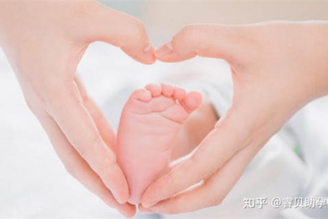 http://wenzhou.51dzb.net/post/188.html|温州新闻中心
