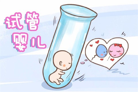 http://wenzhou.51dzb.net/post/212.html|温州新闻中心